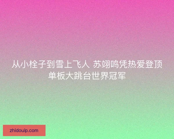 从小栓子到雪上飞人 苏翊鸣凭热爱登顶单板大跳台世界冠军